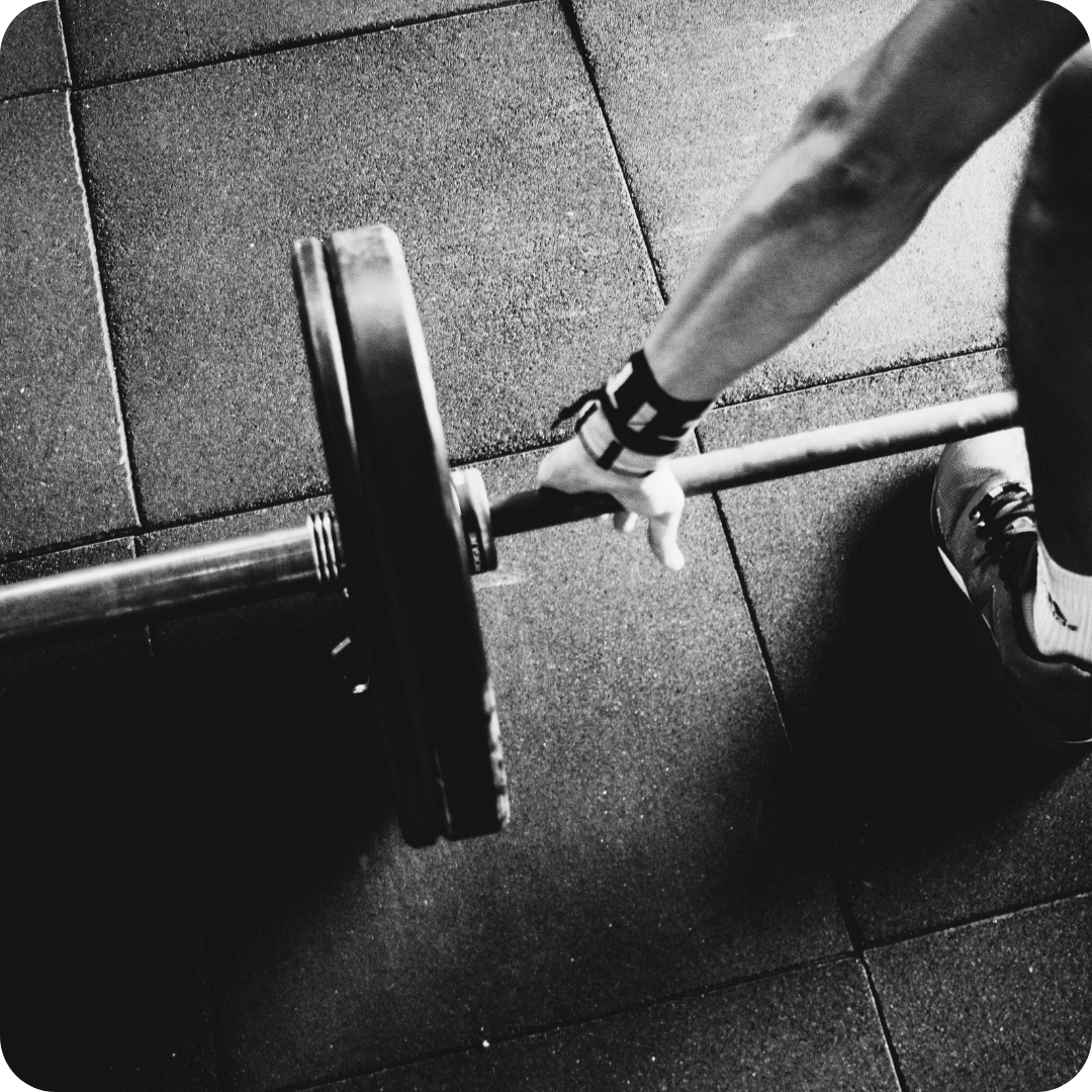 Deporte y Fitness